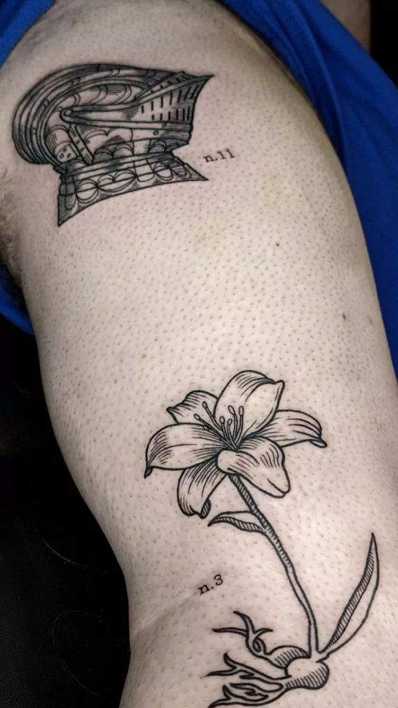 tatuaggi illustrazioni botaniche
